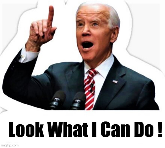 Biden - I did that! | Look What I Can Do ! | image tagged in biden - i did that | made w/ Imgflip meme maker