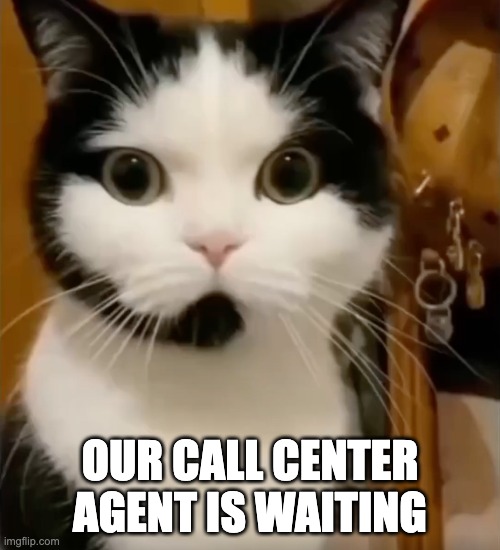 Kitty Agent | OUR CALL CENTER AGENT IS WAITING | image tagged in cat | made w/ Imgflip meme maker