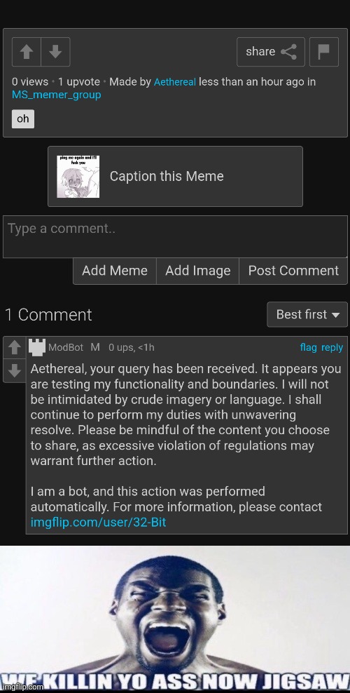 THIS BOT BRO I DIDNT POST PORN | image tagged in we killin yo ass now jigsaw | made w/ Imgflip meme maker