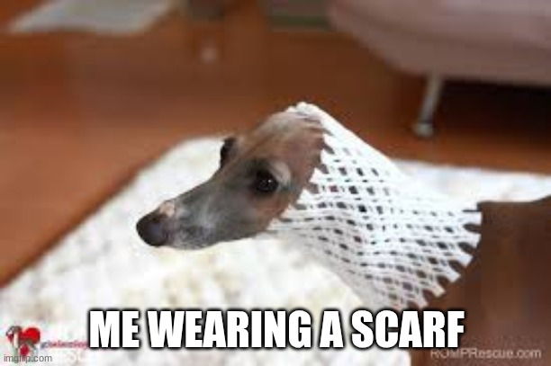 ME WEARING A SCARF | made w/ Imgflip meme maker