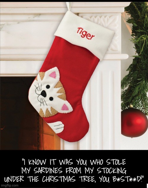 "I KNOW IT WAS YOU WHO STOLE MY SARDINES FROM MY STOCKING UNDER THE CHRISTMAS TREE, YOU B*ST**D!" | made w/ Imgflip meme maker