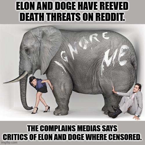 elephant in the room | ELON AND DOGE HAVE REEVED DEATH THREATS ON REDDIT. THE COMPLAINS MEDIAS SAYS CRITICS OF ELON AND DOGE WHERE CENSORED. | image tagged in elephant in the room | made w/ Imgflip meme maker