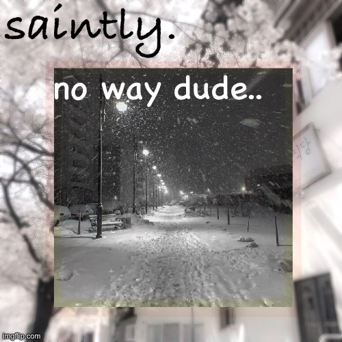 my template | no way dude.. | image tagged in my template | made w/ Imgflip meme maker