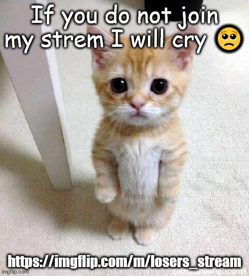 Cute Cat Meme | If you do not join my strem I will cry 🥺; https://imgflip.com/m/losers_stream | image tagged in clearly a joke don't freak,shut | made w/ Imgflip meme maker