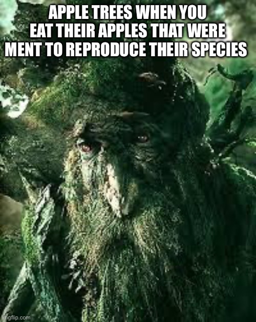 Oof | APPLE TREES WHEN YOU EAT THEIR APPLES THAT WERE MENT TO REPRODUCE THEIR SPECIES | image tagged in sad treebeard | made w/ Imgflip meme maker