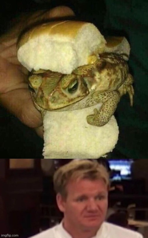 That face is everything XD | made w/ Imgflip meme maker