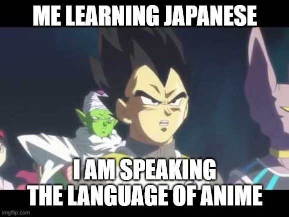 he's speaking the language of gods | ME LEARNING JAPANESE; I AM SPEAKING THE LANGUAGE OF ANIME | image tagged in he's speaking the language of gods | made w/ Imgflip meme maker