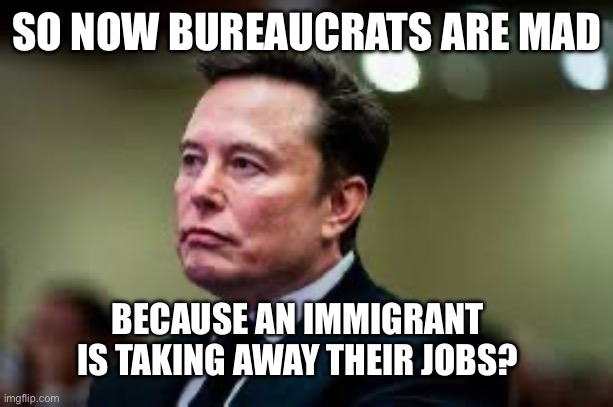 Elon Musk | SO NOW BUREAUCRATS ARE MAD; BECAUSE AN IMMIGRANT IS TAKING AWAY THEIR JOBS? | image tagged in elon musk,maga,liberal logic,government corruption,hypocrisy | made w/ Imgflip meme maker