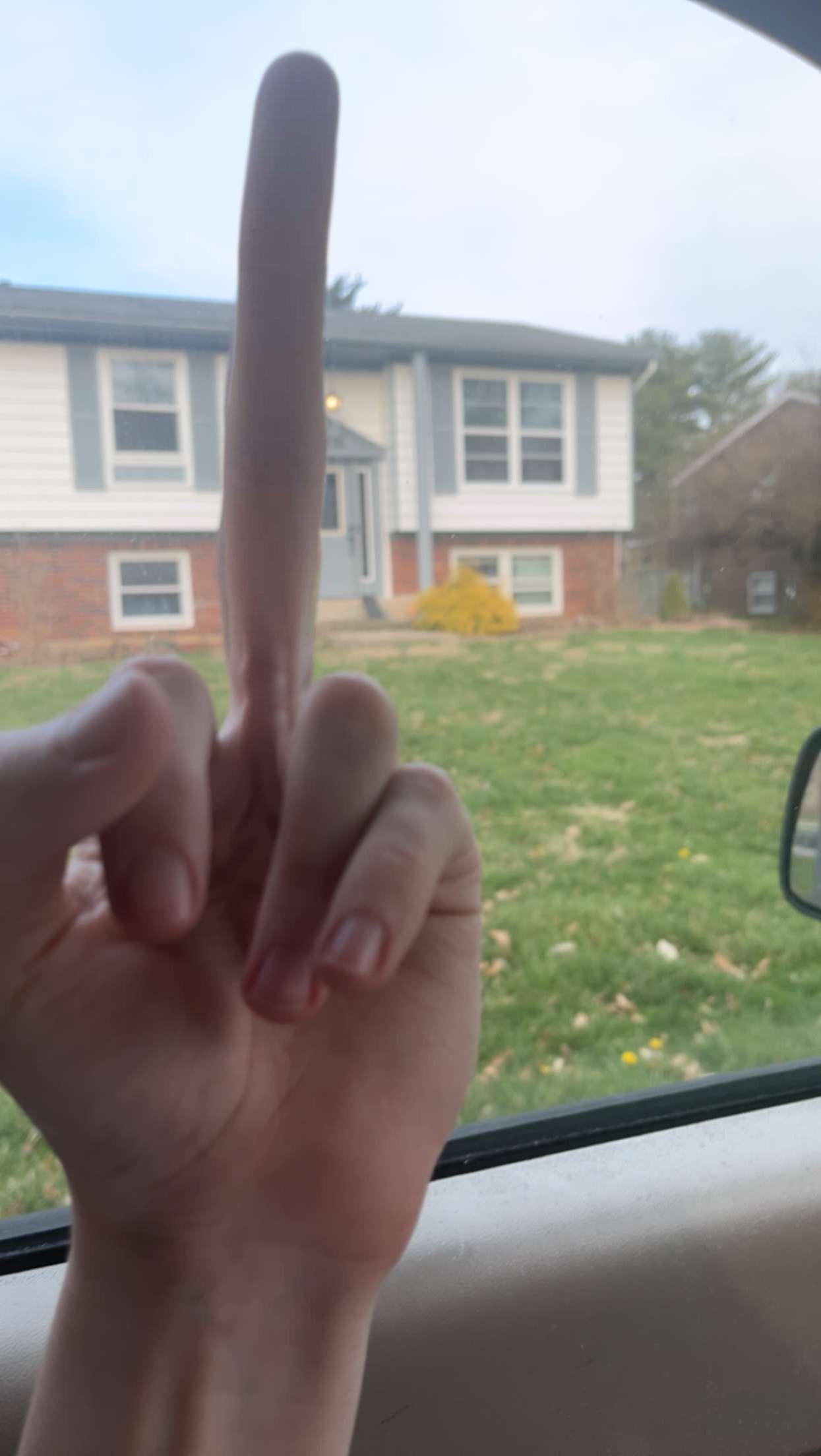 Long ass middle finger Blank Meme Template