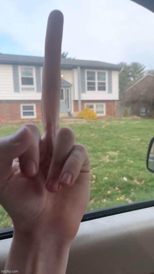 FUCK YOU STREAM | image tagged in long ass middle finger | made w/ Imgflip meme maker
