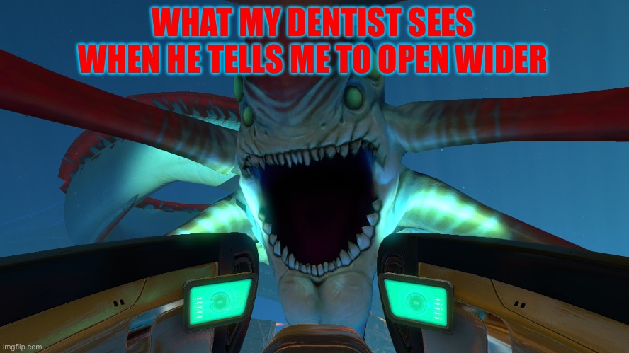 Me at the dentist | WHAT MY DENTIST SEES WHEN HE TELLS ME TO OPEN WIDER | image tagged in reaper leviathan,dentist,subnautica | made w/ Imgflip meme maker