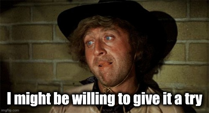 Gene Wilder | I might be willing to give it a try | image tagged in gene wilder | made w/ Imgflip meme maker