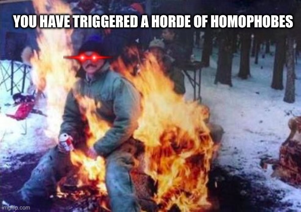 LIGAF Meme | YOU HAVE TRIGGERED A HORDE OF HOMOPHOBES | image tagged in memes,ligaf | made w/ Imgflip meme maker