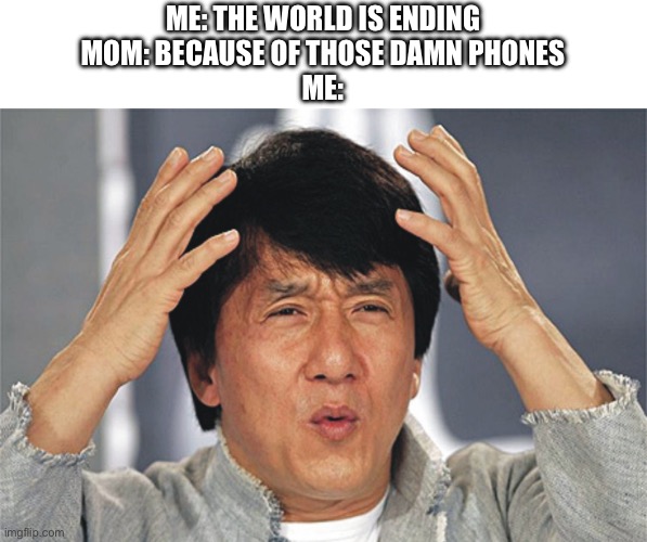 like bro what | ME: THE WORLD IS ENDING
MOM: BECAUSE OF THOSE DAMN PHONES
ME: | image tagged in jackie chan confused | made w/ Imgflip meme maker