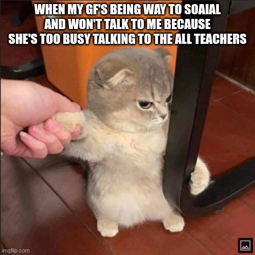 Smol angry cat | WHEN MY GF'S BEING WAY TO SOAIAL AND WON'T TALK TO ME BECAUSE SHE'S TOO BUSY TALKING TO THE ALL TEACHERS | image tagged in smol angry cat | made w/ Imgflip meme maker