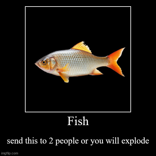 do it | Fish | send this to 2 people or you will explode | image tagged in funny,serious | made w/ Imgflip demotivational maker