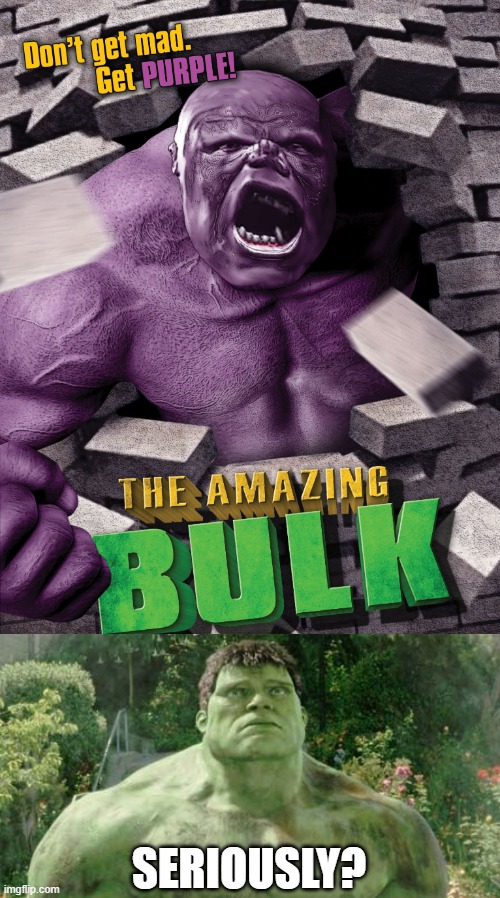 -_- | SERIOUSLY? | image tagged in incredible hulk,bootleg,ripoff,seriously,why,you had one job | made w/ Imgflip meme maker