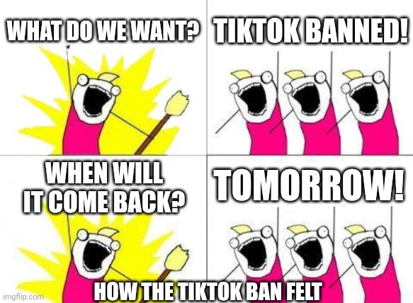 It was so short | WHAT DO WE WANT? TIKTOK BANNED! TOMORROW! WHEN WILL IT COME BACK? HOW THE TIKTOK BAN FELT | image tagged in memes,what do we want | made w/ Imgflip meme maker