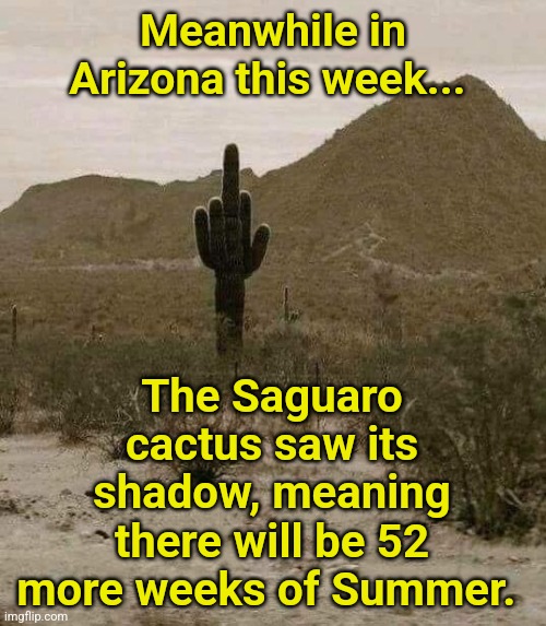 Groundhog Day in Arizona | Meanwhile in Arizona this week... The Saguaro cactus saw its shadow, meaning there will be 52 more weeks of Summer. | image tagged in cactus finger,groundhog day,summer,memes | made w/ Imgflip meme maker