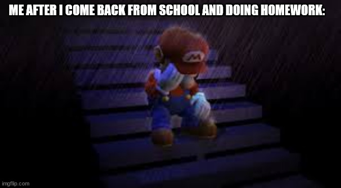 School has ruined my life. | ME AFTER I COME BACK FROM SCHOOL AND DOING HOMEWORK: | image tagged in sad mario | made w/ Imgflip meme maker