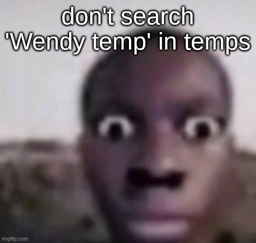 I was gonna make a joke using a picture of Wendy's | don't search 'Wendy temp' in temps | image tagged in bruh what | made w/ Imgflip meme maker