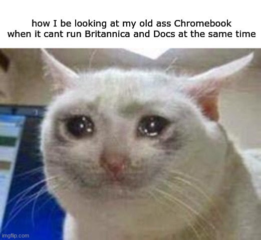 Sad cat | how I be looking at my old ass Chromebook when it cant run Britannica and Docs at the same time | image tagged in sad cat,i'm cooked,help me,relatable,school | made w/ Imgflip meme maker