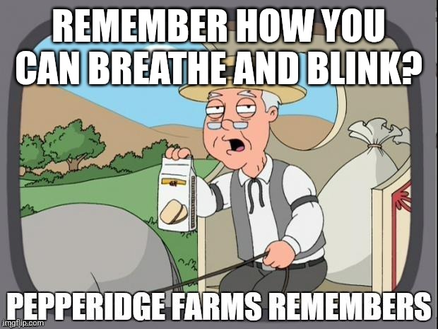 PEPPERIDGE FARMS REMEMBERS | REMEMBER HOW YOU CAN BREATHE AND BLINK? | image tagged in pepperidge farms remembers | made w/ Imgflip meme maker