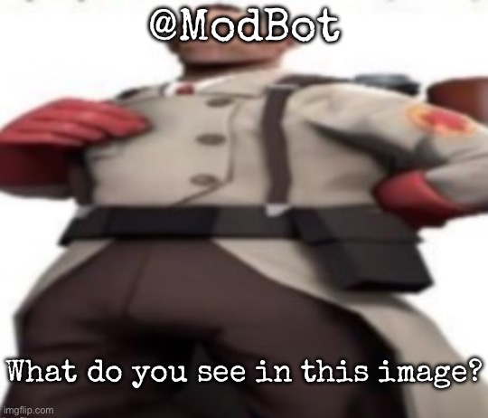 @ModBot | @ModBot; What do you see in this image? | image tagged in ze medic,msmg | made w/ Imgflip meme maker