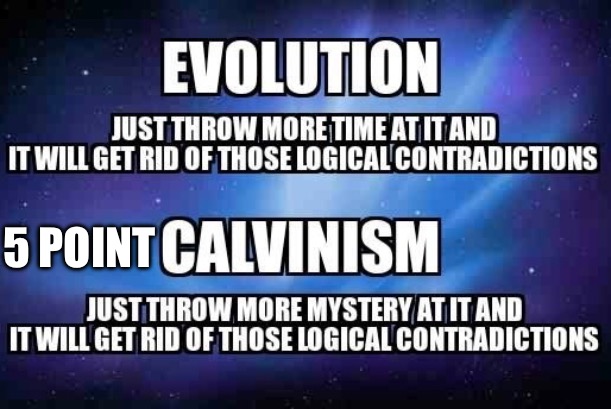 5 Point Calvinism And Evolution | 5 POINT | image tagged in calvinism,arminian,molinism,gaslighting cult puppetry marionette corpse theology,robot muppet demonic lie | made w/ Imgflip meme maker