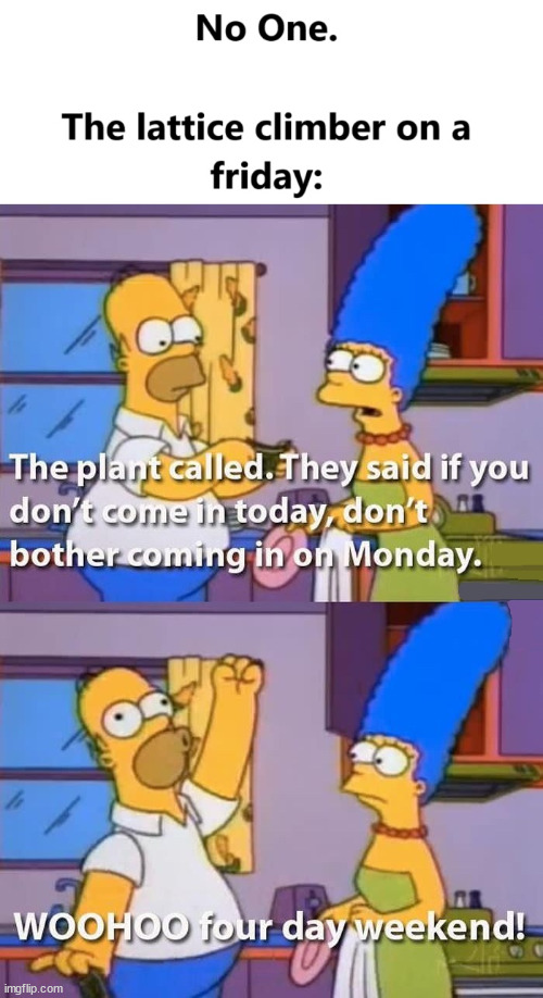 A four day weekend | image tagged in climbing,the simpsons,lattice climbing,meme,weekend,latticeclimbing | made w/ Imgflip meme maker