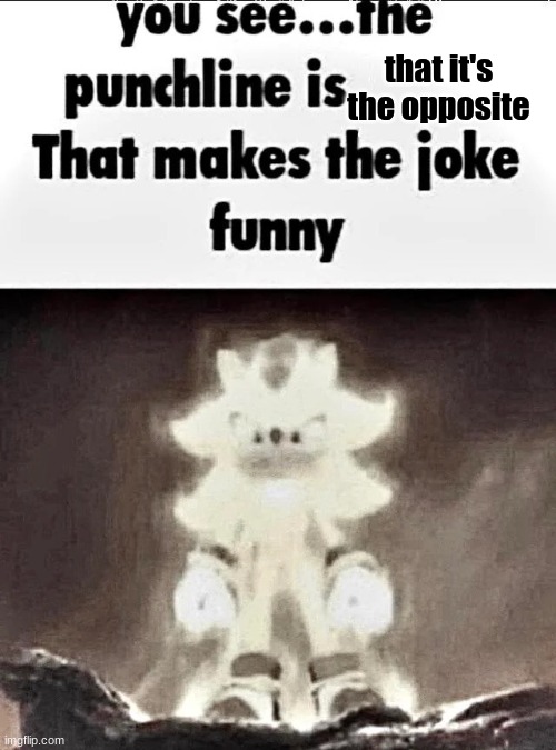 Shadow explains the joke | that it's the opposite | image tagged in shadow explains the joke | made w/ Imgflip meme maker