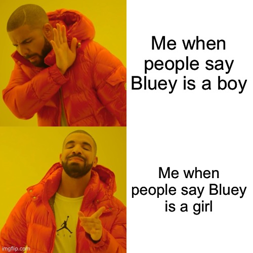 Drake Hotline Bling | Me when people say Bluey is a boy; Me when people say Bluey
is a girl | image tagged in memes,drake hotline bling | made w/ Imgflip meme maker