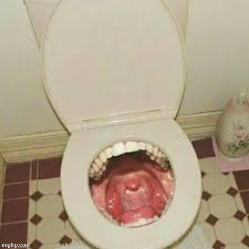 run | image tagged in cursed toilet | made w/ Imgflip meme maker