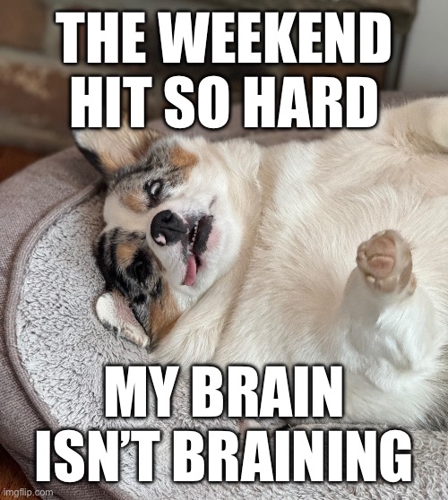 Mondays | THE WEEKEND HIT SO HARD; MY BRAIN ISN’T BRAINING | image tagged in mondays | made w/ Imgflip meme maker