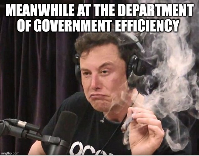 Elon Musk smoking a joint | MEANWHILE AT THE DEPARTMENT OF GOVERNMENT EFFICIENCY | image tagged in elon musk smoking a joint | made w/ Imgflip meme maker