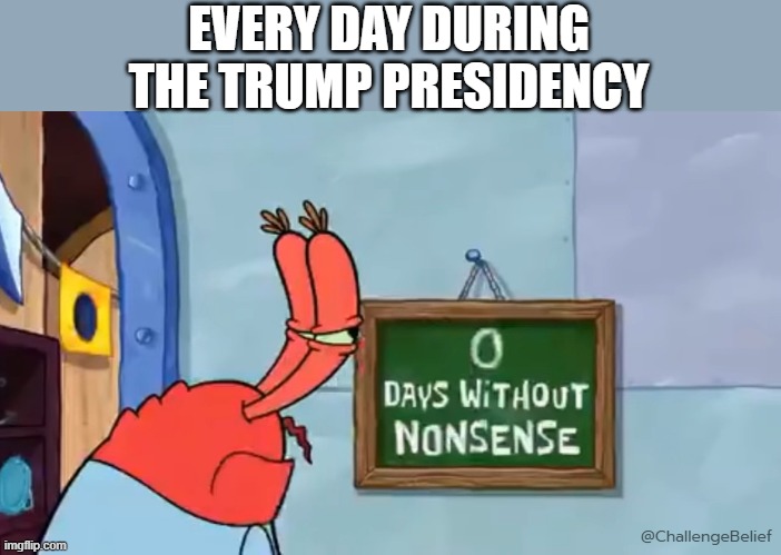 Nonsense from Trump | EVERY DAY DURING THE TRUMP PRESIDENCY; @ChallengeBelief | image tagged in zero days without nonsense | made w/ Imgflip meme maker