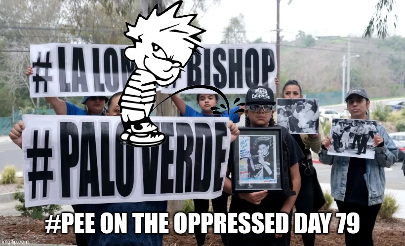 Pee on the oppressed meme | #PEE ON THE OPPRESSED DAY 79 | image tagged in memes,woke,oppression,maga,donald trump | made w/ Imgflip meme maker