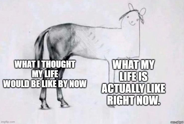 Horse Drawing | WHAT MY LIFE IS ACTUALLY LIKE RIGHT NOW. WHAT I THOUGHT MY LIFE WOULD BE LIKE BY NOW | image tagged in horse drawing | made w/ Imgflip meme maker