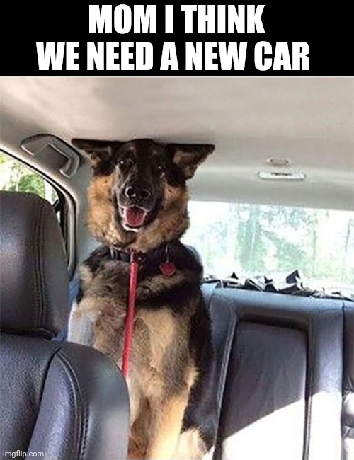 Mom I Think We Need A New Car | MOM I THINK WE NEED A NEW CAR | image tagged in chris joines | made w/ Imgflip meme maker