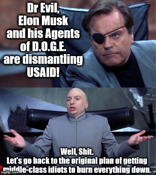 image tagged in elon musk,doge,usaid,doctor evil | made w/ Imgflip meme maker