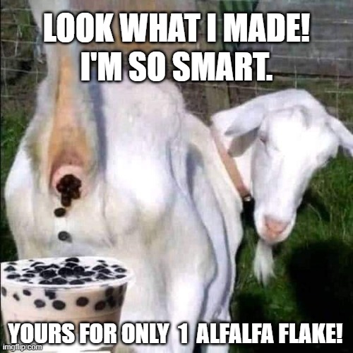 Goat Pooping In Drink | LOOK WHAT I MADE! I'M SO SMART. YOURS FOR ONLY  1  ALFALFA FLAKE! | image tagged in goat pooping in drink | made w/ Imgflip meme maker