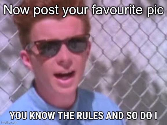 Rick astley you know the rules | Now post your favourite pic | image tagged in rick astley you know the rules | made w/ Imgflip meme maker