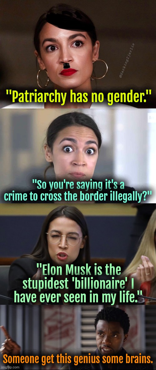 I wish I was a stupid billionaire :( | @darking2jarlie; "Patriarchy has no gender."; "So you're saying it's a crime to cross the border illegally?"; "Elon Musk is the stupidest 'billionaire' I have ever seen in my life."; Someone get this genius some brains. | image tagged in dictator dem,aoc,liberals,liberal logic,elon musk,politics | made w/ Imgflip meme maker