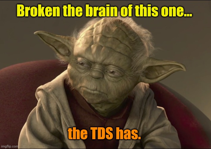 Yoda Begun The Clone War Has | Broken the brain of this one... the TDS has. | image tagged in yoda begun the clone war has | made w/ Imgflip meme maker