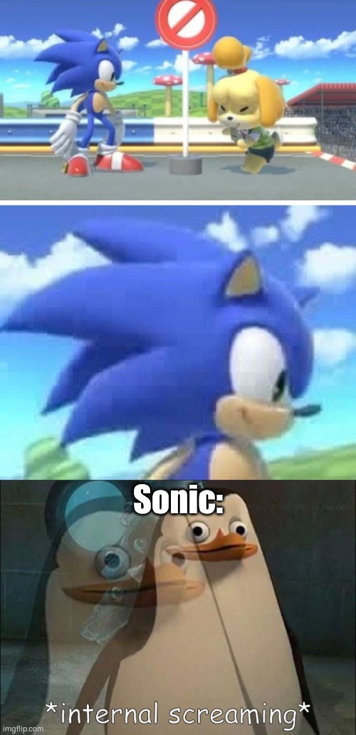 Sonic? You okay? | Sonic: | image tagged in private internal screaming,super smash bros,sonic | made w/ Imgflip meme maker