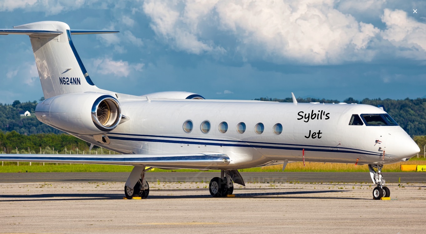 Sybil's Jet Gulfstream V airplane aircraft Blank Meme Template
