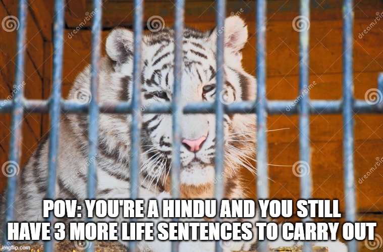 POV: YOU'RE A HINDU AND YOU STILL HAVE 3 MORE LIFE SENTENCES TO CARRY OUT | image tagged in reincarnation | made w/ Imgflip meme maker