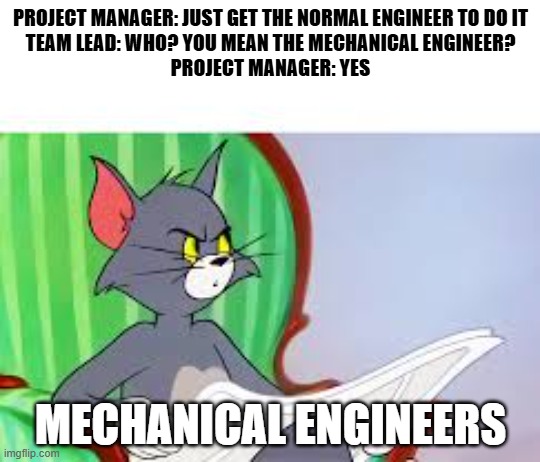 How everyone sees MechEs