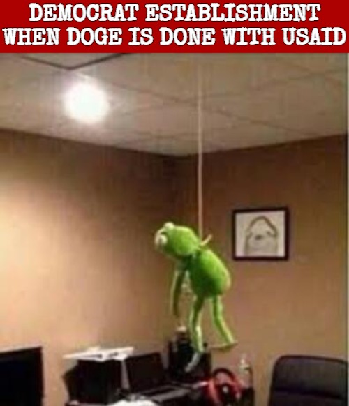 DEMOCRAT ESTABLISHMENT WHEN DOGE IS DONE WITH USAID | image tagged in democrats,doge,american politics,elon musk,donald trump | made w/ Imgflip meme maker