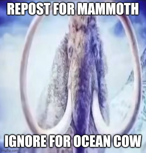 Mammoth | REPOST FOR MAMMOTH; IGNORE FOR OCEAN COW | image tagged in mammoth | made w/ Imgflip meme maker